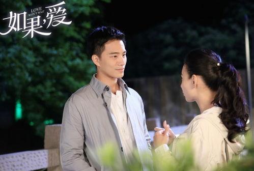 如果爱电视剧在线看国产dvd