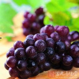 紫葡萄视频在线国产,国产生态下的创新与探索