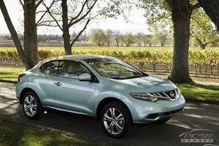 国产日产综合在线观看,一站式在线观看指南