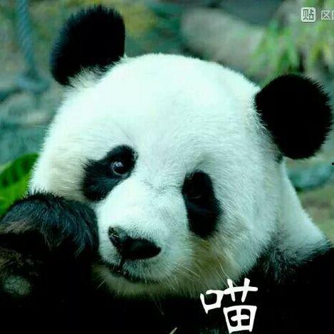 动漫国产小倩在线观看免费