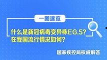 国产国产日本亚州区在线看,国产与日本影视作品在线观影指南