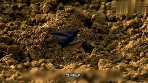 火化电影国产在线观看,国产佳作在线热映，重温经典情感之旅